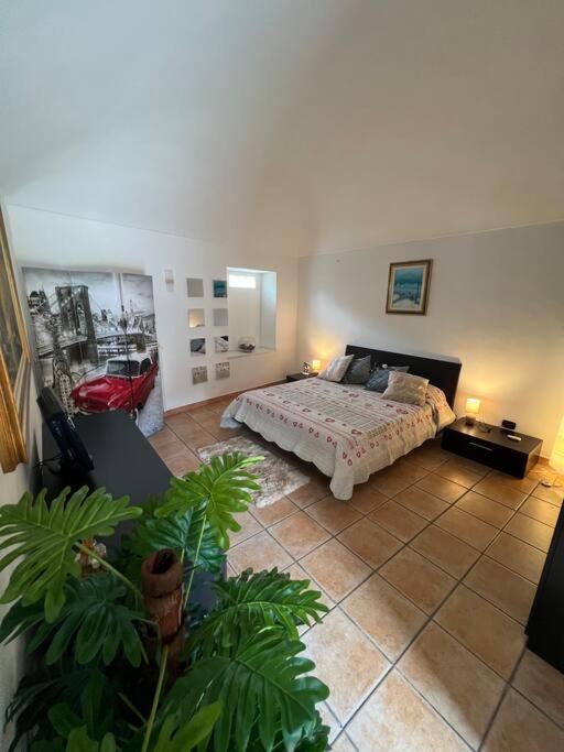 Casa Teddy Torino * Bosconero